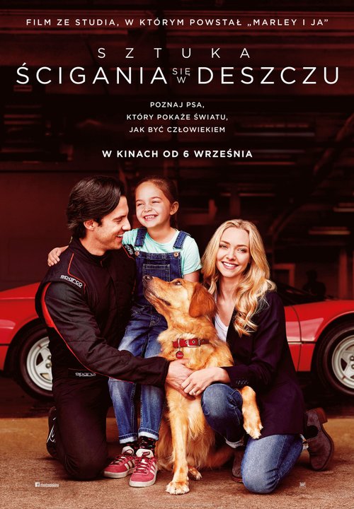 Sztuka ścigania się w deszczu / The Art of Racing in the Rain (2019) PL.1080p.WEB-DL.AAC.5.1.x264-PhX / LEKTOR PL