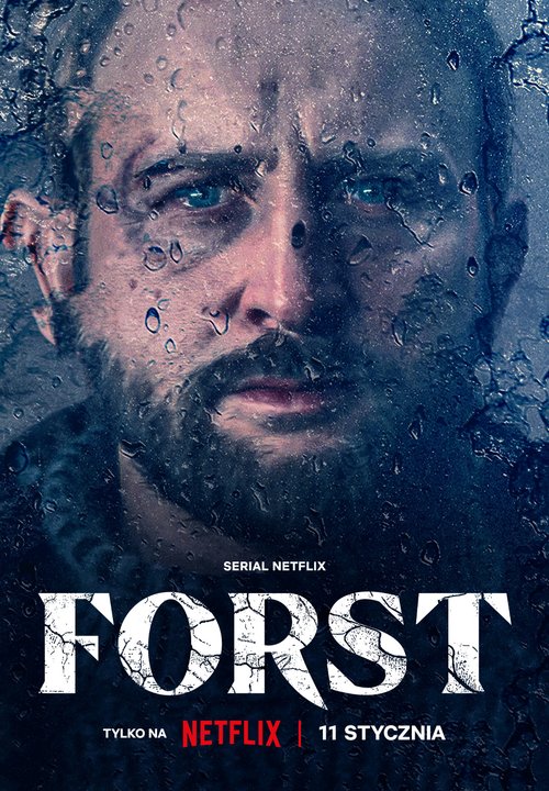 Forst (2024) (Sezon 1) PL.NF.WEB-DL.x264.DDP5.1.Atmos-K83 / Serial Polski