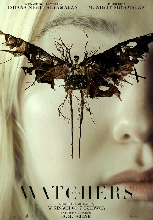 The Watchers (2024) PLSUBBED.2160p.WEB-DL.10Bit.HDR.AC3.5.1.H265-PhX / NAPISY PL