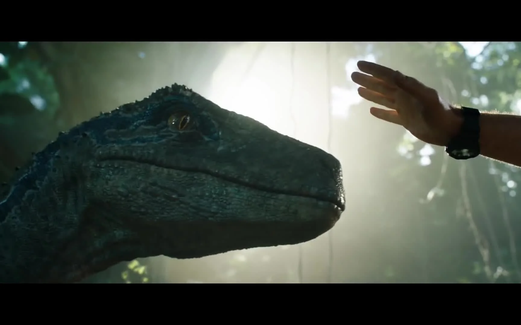 Jurassic World Upadle Krolestwo Caly Film Jurassic World: Upadłe królestwo (2018) - FDB